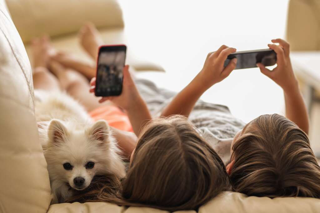 Two preteen kids in shorts play on their phones while relaxing indoors with their dog.