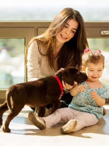 Family plays with puppy in comfortable, air-conditioned home. Mom and daughter play with new puppy on the floor in comfort.