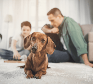 Father and son enjoy a game of checkers while their dachsund stares down the camera. No Freeze-Flooding here.