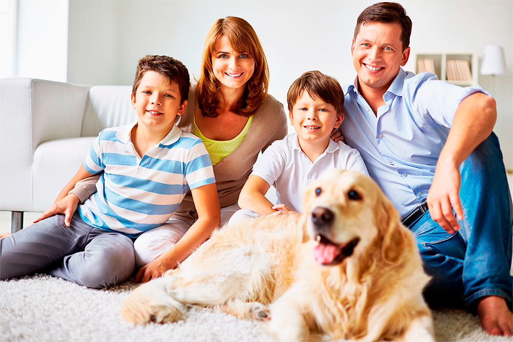 Family of four plus dog lounge on furry area rug